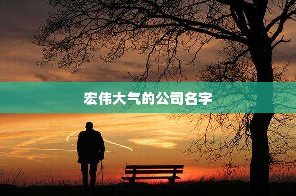 宏伟大气的公司名字