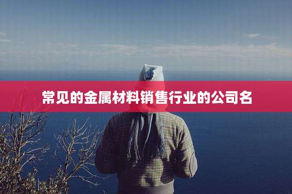 常见的金属材料销售行业的公司名