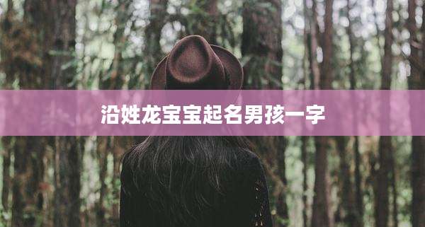 沿姓龙宝宝起名男孩一字