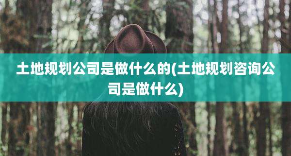 土地规划公司是做什么的(土地规划咨询公司是做什么)