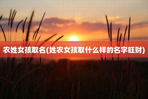 农姓女孩取名(姓农女孩取什么样的名字旺财)