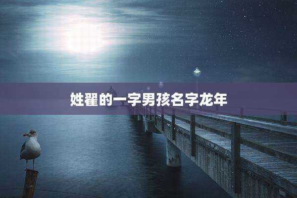 姓翟的一字男孩名字龙年