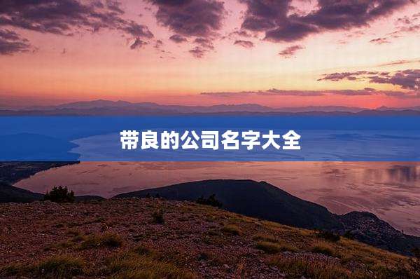 带良的公司名字大全