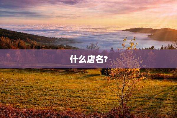 什么店名?