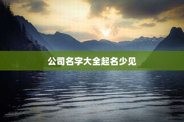 公司名字大全起名少见