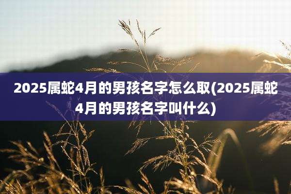 2025属蛇4月的男孩名字怎么取(2025属蛇4月的男孩名字叫什么)