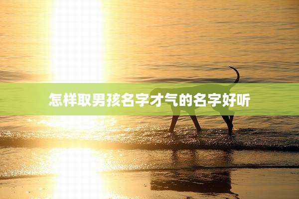 怎样取男孩名字才气的名字好听