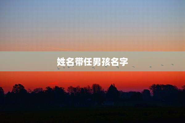 姓名带任男孩名字