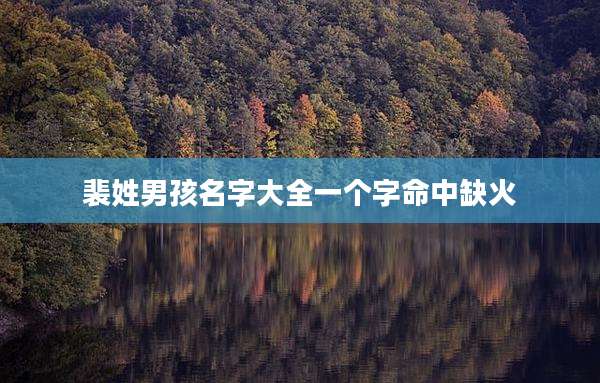裴姓男孩名字大全一个字命中缺火