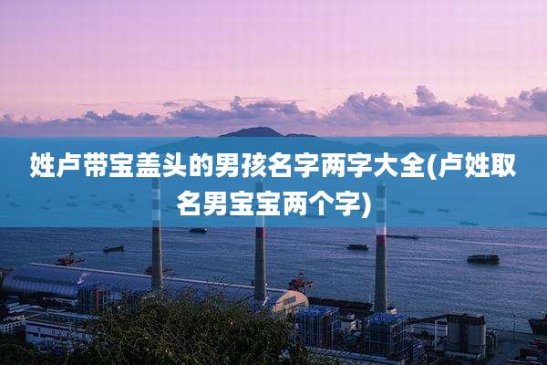 姓卢带宝盖头的男孩名字两字大全(卢姓取名男宝宝两个字)