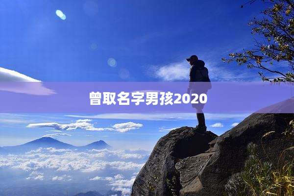 曾取名字男孩2020