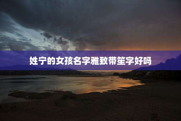 姓宁的女孩名字雅致带笙字好吗