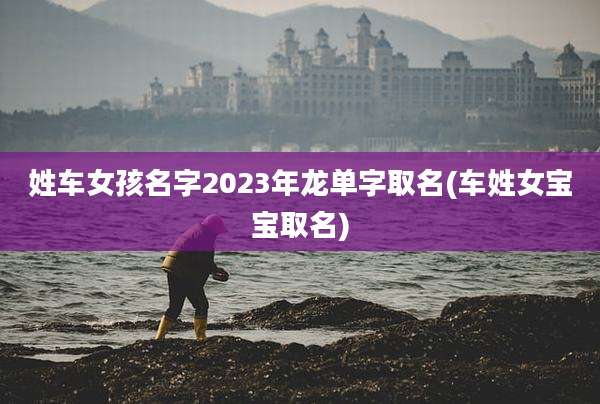 姓车女孩名字2023年龙单字取名(车姓女宝宝取名)
