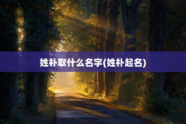 姓朴取什么名字(姓朴起名)