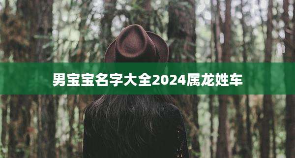 男宝宝名字大全2024属龙姓车