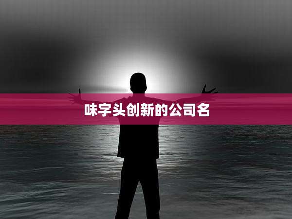 味字头创新的公司名