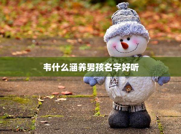 韦什么涵养男孩名字好听
