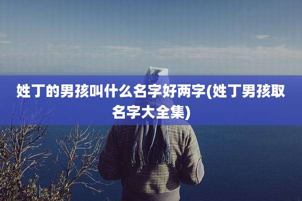姓丁的男孩叫什么名字好两字(姓丁男孩取名字大全集)