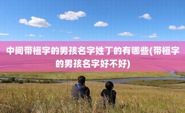 中间带桓字的男孩名字姓丁的有哪些(带桓字的男孩名字好不好)