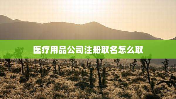 医疗用品公司注册取名怎么取