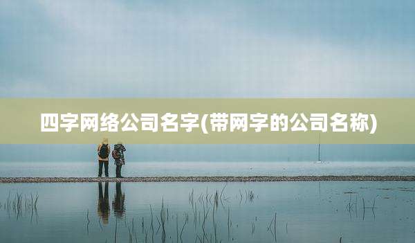 四字网络公司名字(带网字的公司名称)