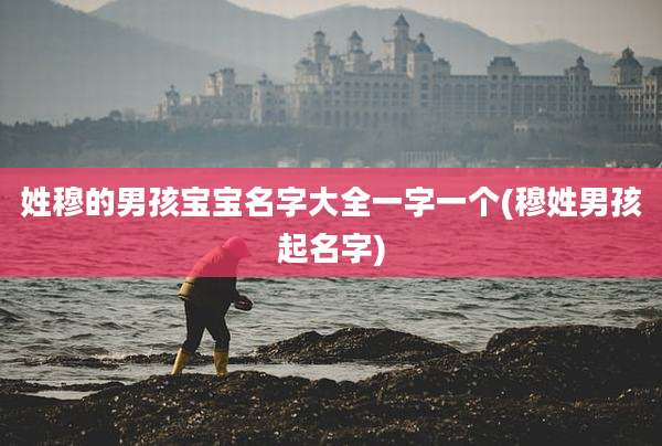 姓穆的男孩宝宝名字大全一字一个(穆姓男孩起名字)