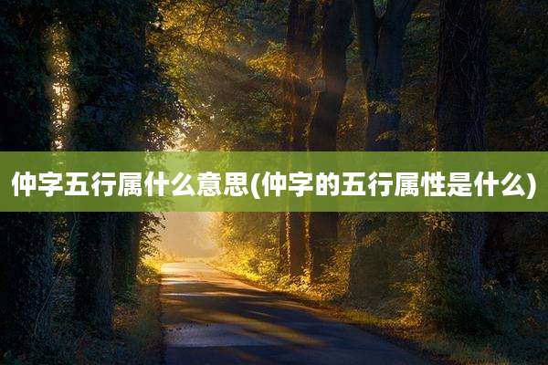 仲字五行属什么意思(仲字的五行属性是什么)