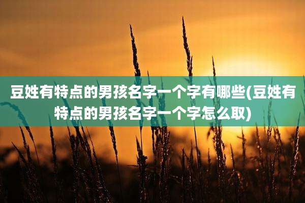 豆姓有特点的男孩名字一个字有哪些(豆姓有特点的男孩名字一个字怎么取)