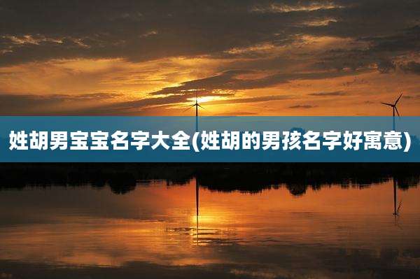 姓胡男宝宝名字大全(姓胡的男孩名字好寓意)
