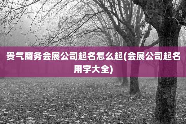 贵气商务会展公司起名怎么起(会展公司起名用字大全)