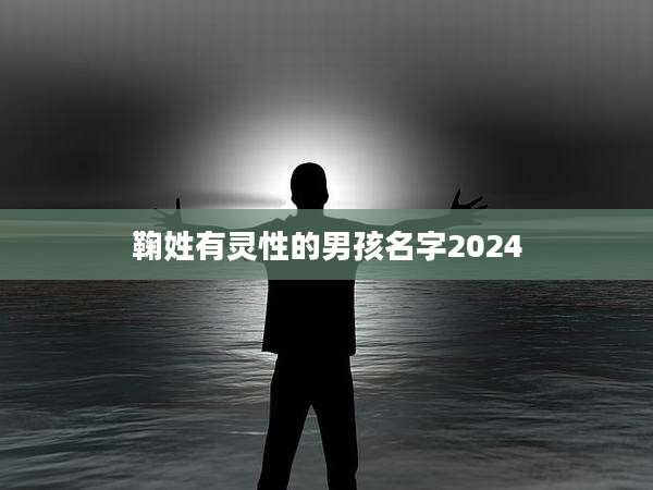 鞠姓有灵性的男孩名字2024
