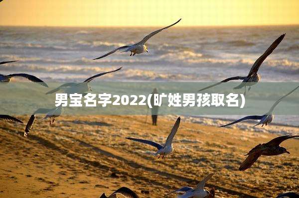 男宝名字2022(旷姓男孩取名)