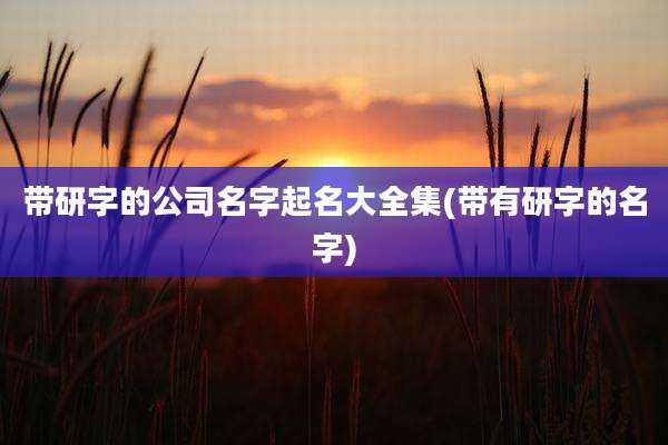 带研字的公司名字起名大全集(带有研字的名字)