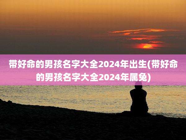 带好命的男孩名字大全2024年出生(带好命的男孩名字大全2024年属兔)