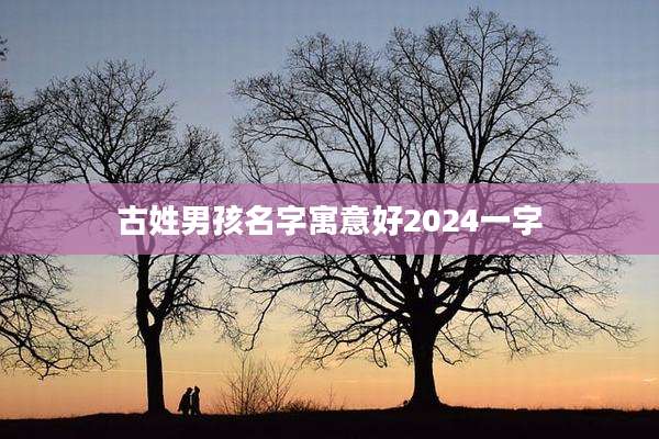 古姓男孩名字寓意好2024一字