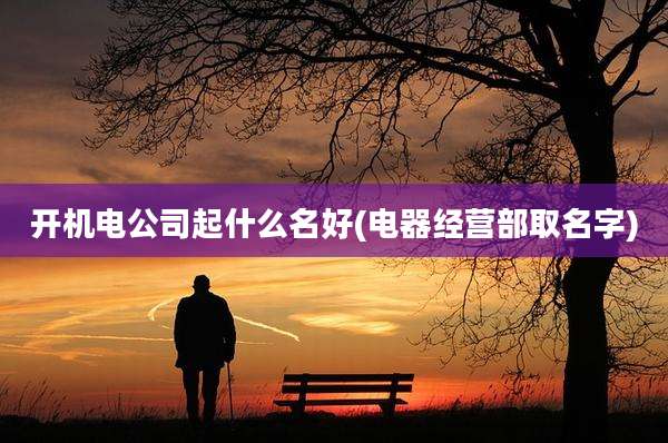 开机电公司起什么名好(电器经营部取名字)
