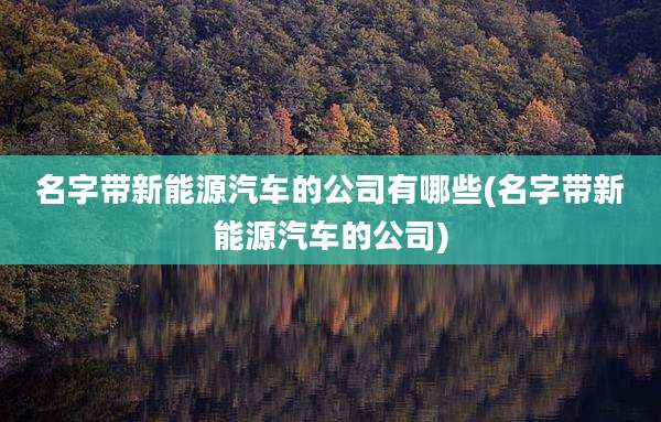 名字带新能源汽车的公司有哪些(名字带新能源汽车的公司)