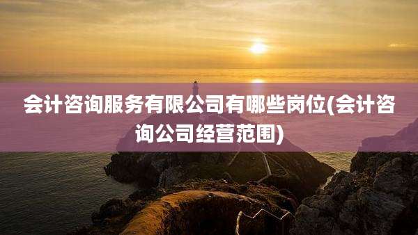 会计咨询服务有限公司有哪些岗位(会计咨询公司经营范围)