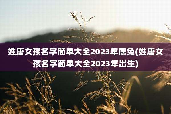 姓唐女孩名字简单大全2023年属兔(姓唐女孩名字简单大全2023年出生)