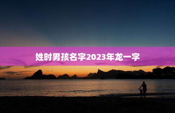 姓时男孩名字2023年龙一字