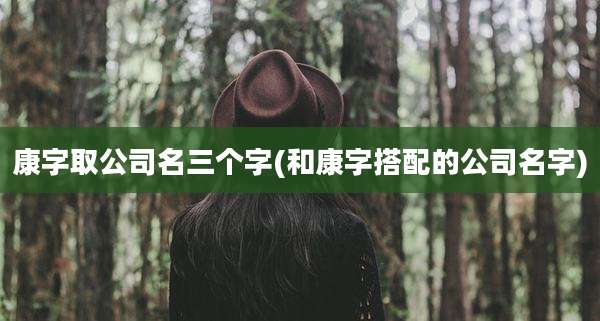 康字取公司名三个字(和康字搭配的公司名字)