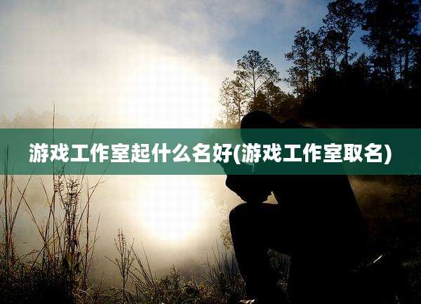 游戏工作室起什么名好(游戏工作室取名)