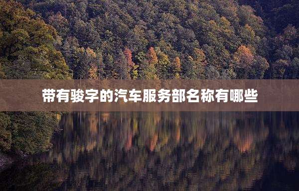 带有骏字的汽车服务部名称有哪些