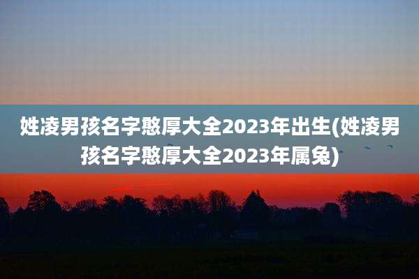 姓凌男孩名字憨厚大全2023年出生(姓凌男孩名字憨厚大全2023年属兔)