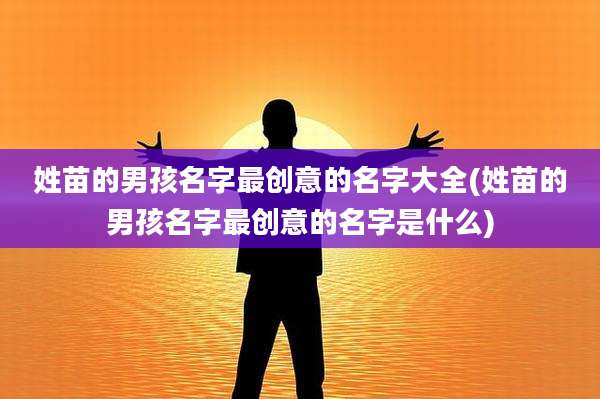姓苗的男孩名字最创意的名字大全(姓苗的男孩名字最创意的名字是什么)