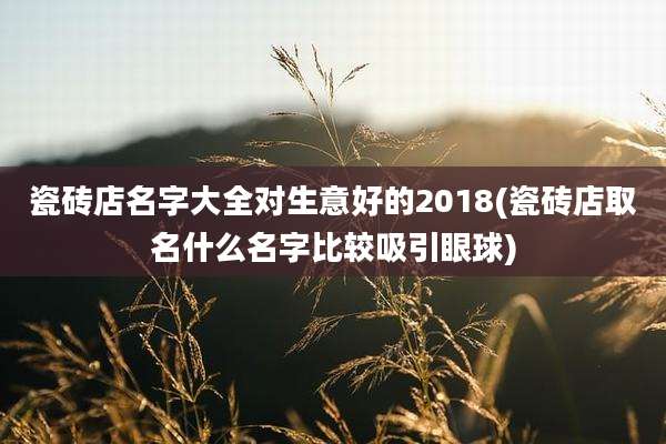 瓷砖店名字大全对生意好的2018(瓷砖店取名什么名字比较吸引眼球)