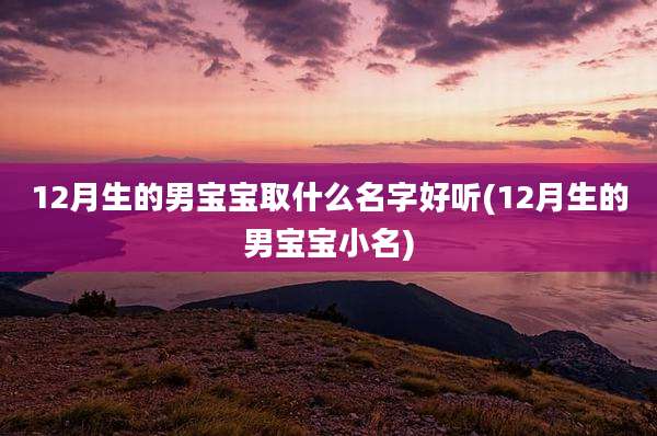 12月生的男宝宝取什么名字好听(12月生的男宝宝小名)