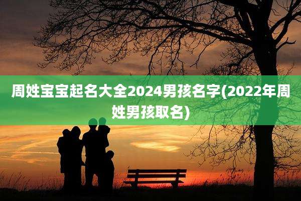 周姓宝宝起名大全2024男孩名字(2022年周姓男孩取名)