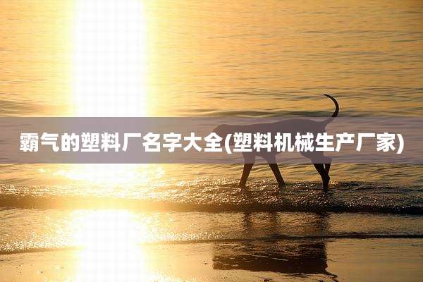 霸气的塑料厂名字大全(塑料机械生产厂家)