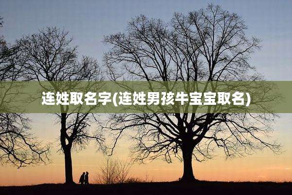 连姓取名字(连姓男孩牛宝宝取名)